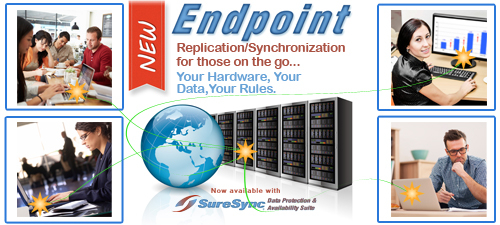 SureSync ENDPOINT